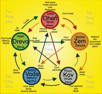 Schéma piatich elementov Feng Shui (drevo, oheň, zem, kov, voda) a ich vzájomné pôsobenie v priestore.
