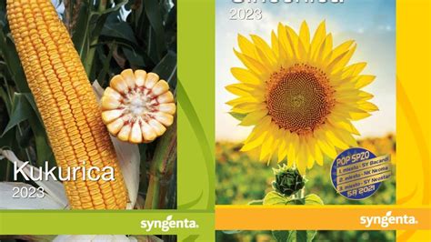 Infografika zobrazujúca piliere úspešného pestovania kukurice a slnečnice.