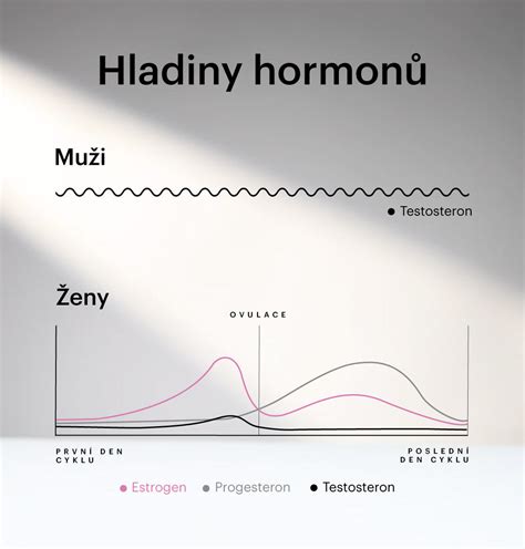 Infografika vysvetľujúca princípy symptotermálnej metódy a cyklu ženy