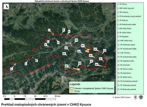 mapa lesa s vyznačenou cestou detí, ktorá sa stráca hlboko v lese