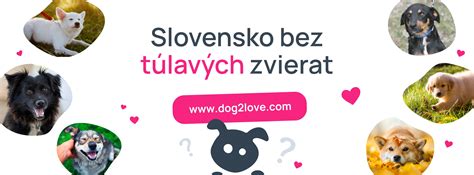 Infografika: Bezpečné potraviny pre psov a mačky