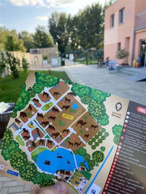 Infografika: Bezpečnosť rastlín v domácnostiach s deťmi a zvieratami