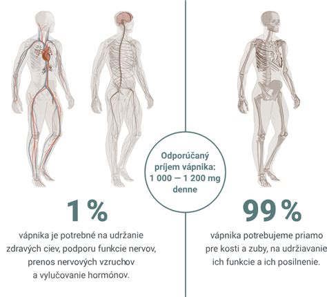schéma prepojenia emócií, stresu a fyziologických reakcií v ľudskom tele