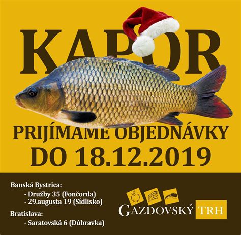 Fotografia upečených rybích filiet sumčeka afrického s prílohou