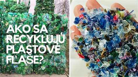 schéma recyklácie plastových a bioplastových pohárov