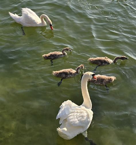 Ilustrácia dieťaťa vo veku 3 rokov hrajúceho sa s rôznymi hračkami, ktoré stimulujú jemnú a hrubú motoriku.