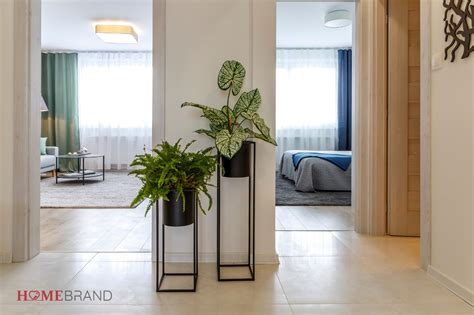 Detailná schéma umiestnenia zelených svietnikov podľa princípov Feng Shui