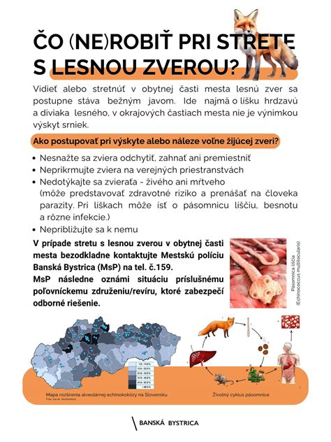 Schéma správneho zoradenia ulovenej zveri na výrade podľa druhov a poľovníckych hodností