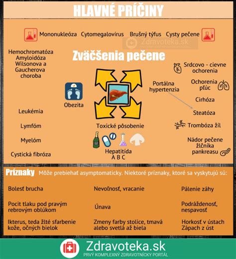infografika znázorňujúca proces detoxikácie pečene