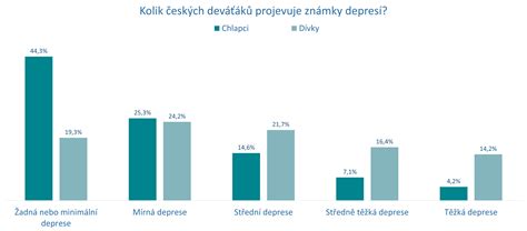 Schéma vplyvu nezodpovedného správania na ekonomickú stabilitu domácnosti a jej sociálne postavenie