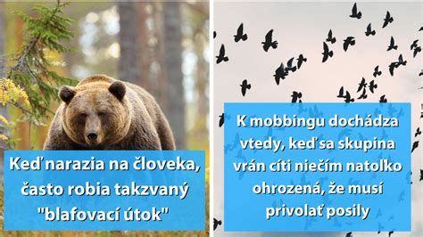 fotografia Zuzany Kaprálikovej pri stretnutí s fanúšikom alebo v uvoľnenej atmosfére
