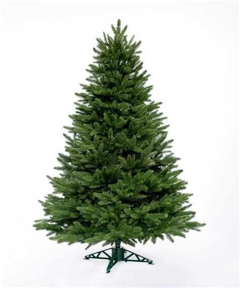 Detailná fotografia ihličia Kaukazskej jedle s bielymi prúžkami