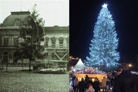 Historické zobrazenie vianočného stromčeka v kráľovskej rezidencii
