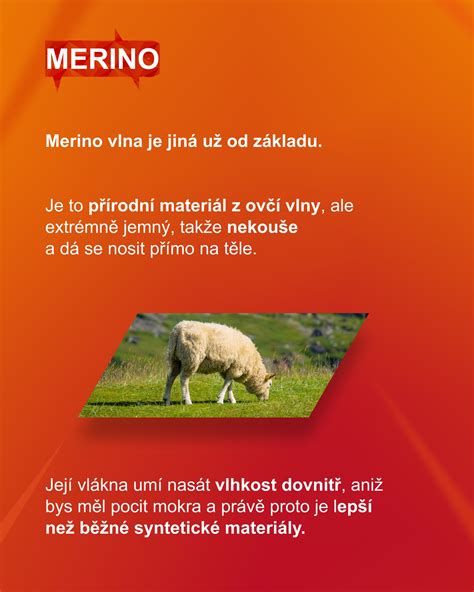 Infografika porovnania vlastností bambusového vlákna a merino vlny