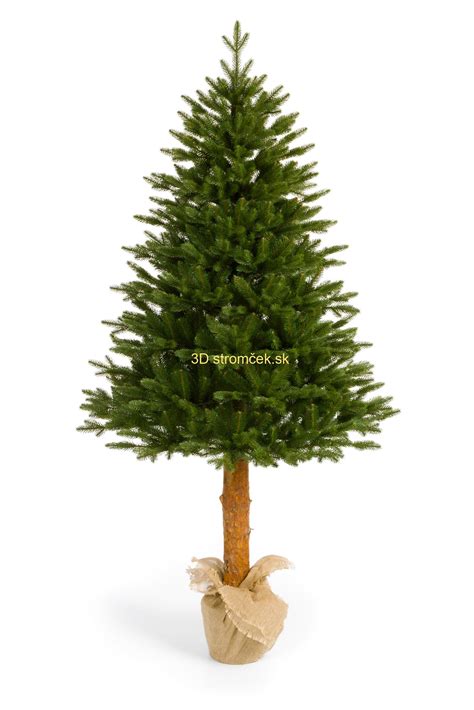 foto 3D vianočného stromčeka Smrek Karpatský 150 cm