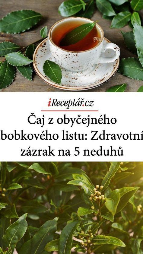 Infografika o liečivých účinkoch bobkového listu