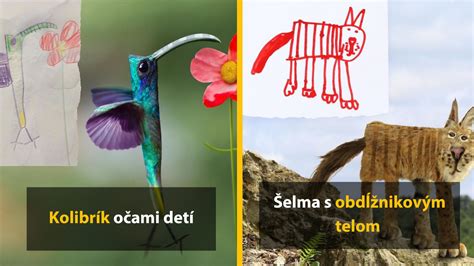 Ilustrácia: zábavné detské kresby so zvieratami