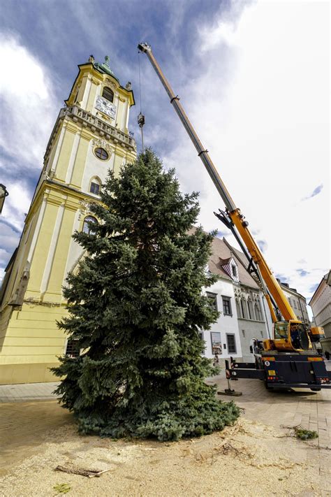 Fotografia vianočného stromčeka na Hlavnom námestí v Bratislave