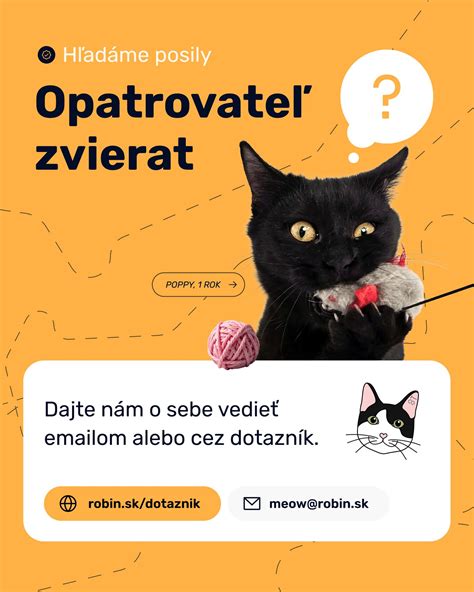 veselá animácia tancujúcej mačky alebo postavičky, ktorá rozosmeje oslávenca