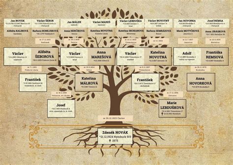 Ilustrácia rodostromu s germánskymi a keltskými koreňmi mena Liam