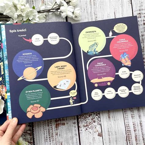 infografika charakteristiky mena Anna