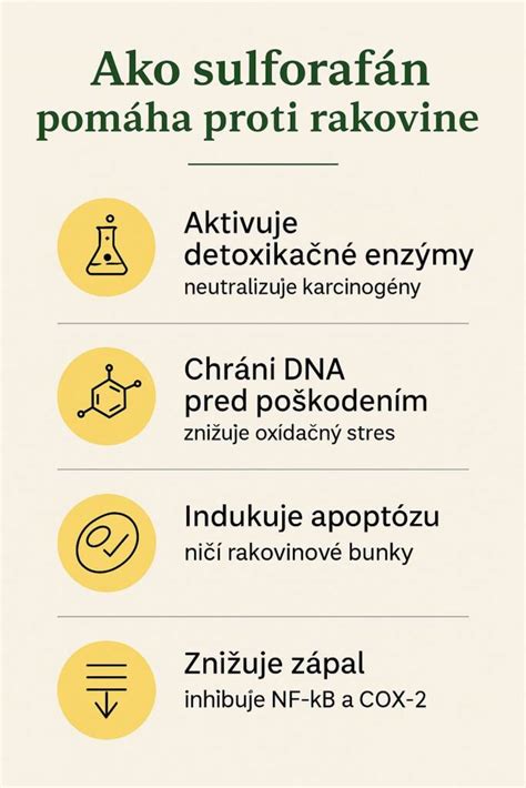 Infografika zobrazujúca proces určovania zliav a výhodných ponúk