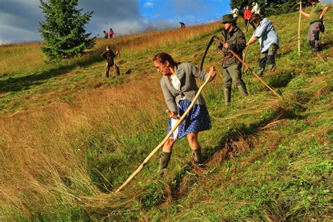 Ilustračná fotografia rôznych druhov pohľadníc, vrátane ručne zdobených a klasických.