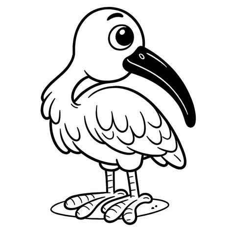 fotografia ibisa červeného na Trinidade