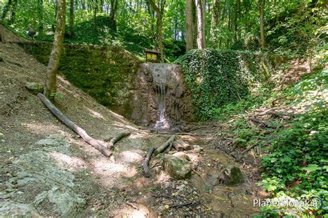 Snímka Haluzickej tiesňavy so zeleňou a potokom