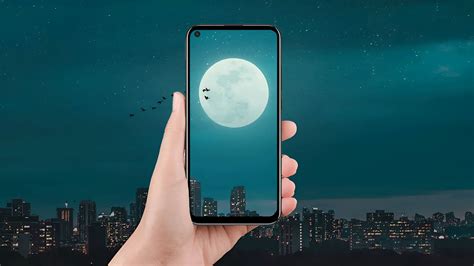 Fotografia Mikuláša Černáka s tigrom na reťazi a mobilným telefónom