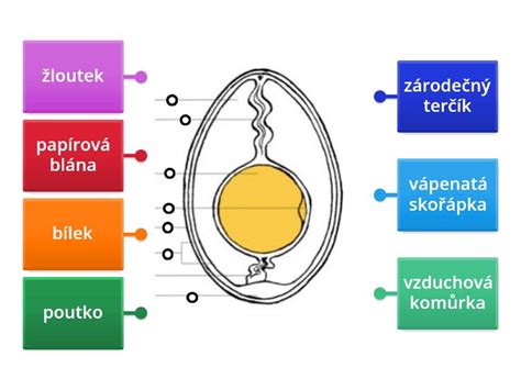 Nákres postupu prípravy vianočného punču