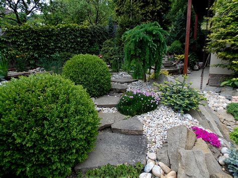 Koláž rôznych stálozelených drevín vhodných do záhrady