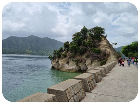 fotografia húfu zajacov na ostrove Okunojima