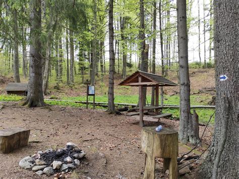 Detailný záber na vyvierajúci Kúpeľný prameň s informačnou tabuľou o zložení minerálnej vody a plynu