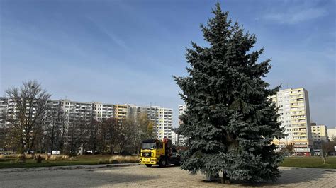 Rodiny zdobiace komunitný vianočný stromček v mestskej časti Liptovského Mikuláša