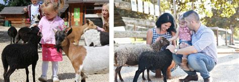 Fotografia rodiny na výlete s deťmi, napríklad v zoo alebo parku