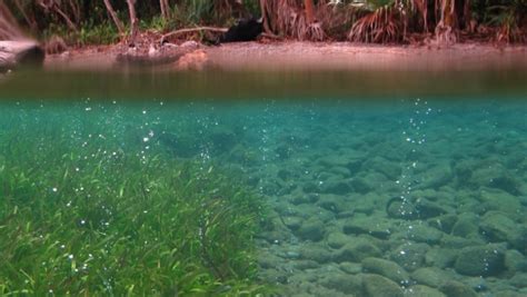 schéma ideálnej štruktúry príhovoru: privítanie, poďakovanie, osobná spomienka, optimistický pohľad do budúcnosti