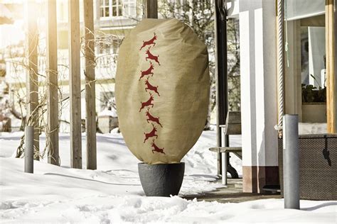 Fotografia srdiečkových párkov s dekoráciou