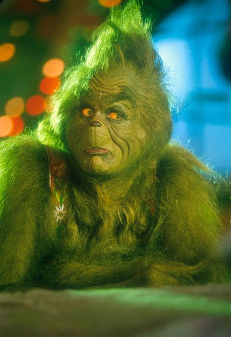 ilustračné foto Grinch kostýmu