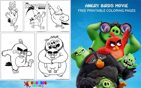 Koláž postavičiek Angry Birds a ich typických farieb