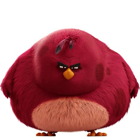 Ukážka balónov a banneru s Angry Birds tematikou