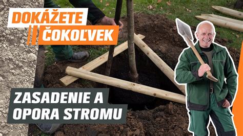 Informatívna schéma: Správna príprava kvetináča pre vonkajšie pestovanie stromčekov s vrstvou drenáže a izolácie.