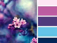 Infolgrafika zobrazujúca vhodné farebné kombinácie košieľ a doplnkov pre svadobných hostí podľa typu svadby