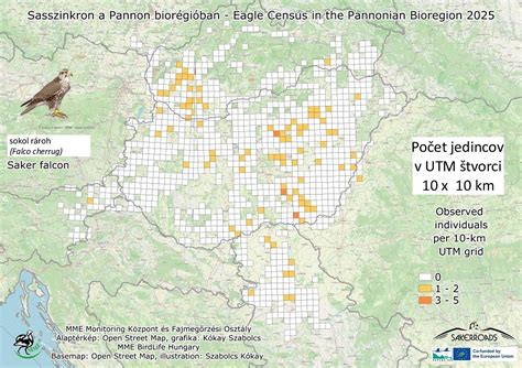 Ornitologické pozorovania dravých vtákov v zimnej krajine