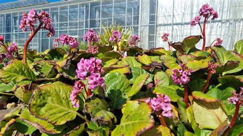 Tematické foto detí v rôznych originálnych karnevalových kostýmoch