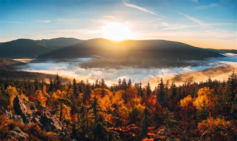Záber na detailne vyzdobený minimedík umiestnený na prestretom svadobnom stole s kvetinovou dekoráciou.
