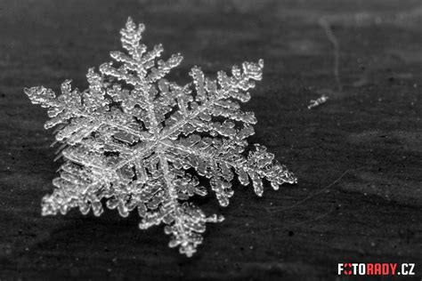 Detail makro fotografie snehovej vločky
