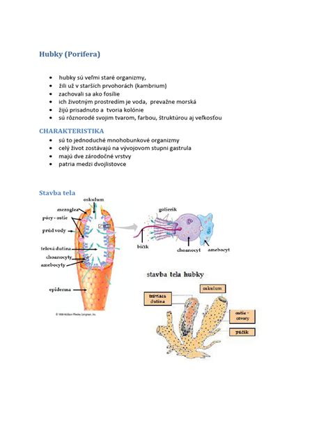 Detailný postup dekupáže na polystyrénovej guli s použitím hubky a vianočnej servítky