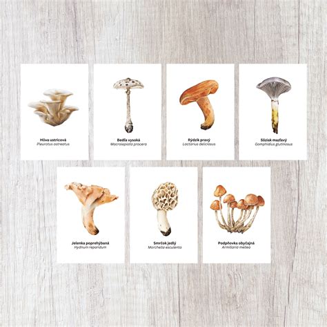 Rôzne typy narodeninových blahoželaní - kartičky, poznámky