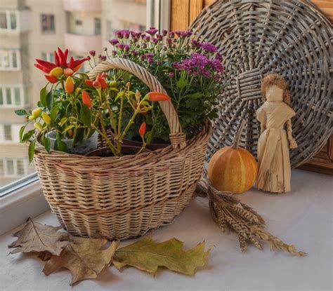 Útulný jesenný balkón s dekoráciami a rastlinami